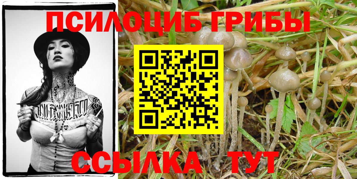 Псилоцибиновые грибы GOLDEN TEACHER  Вход с VPN  Кушва 